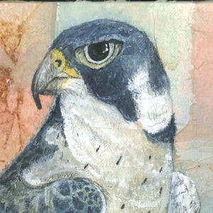 Peregrine Falcon Painting | Falcon Art | Bird Painting | Bird Art Print | Wildlife Painting | Bird Illustration | Bird Wall Art | Animal Art