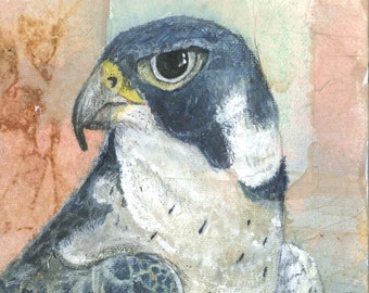 Peregrine Falcon Painting | Falcon Art | Bird Painting | Bird Art Print | Wildlife Painting | Bird Illustration | Bird Wall Art | Animal Art