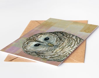 May include: A close-up of a gray owl with large, dark eyes. The owl is looking directly at the camera. The background is a soft, pink and yellow watercolor wash.