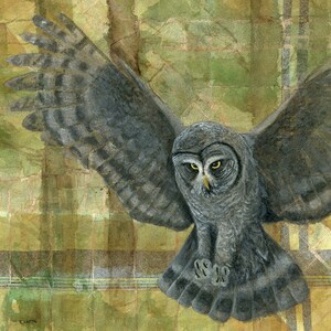 Great Gray Owl Painting, Owl Art Print, Bird Painting, Bird Art, Wildlife Painting, Owl Artwork, Owl Wall Art, Animal Art Print Owl Painting