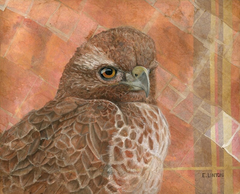 Red-Tailed Hawk Painting Hawk Wall Art Raptor Painting Wildlife Mixed Media Animal Art Print Bird illustration Tea Bag Décor image 3