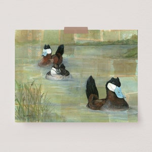 Ruddy Ducks | Bird Painting | Bird Artwork | Bird Décor | Animal Art Print | Duck Painting | Bird Wall Art | Bird Gift | Wildlife Painting
