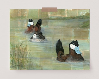 Ruddy Ducks | Bird Painting | Bird Artwork | Bird Décor | Animal Art Print | Duck Painting | Bird Wall Art | Bird Gift | Wildlife Painting
