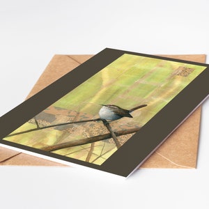 Bewick's Wren 5x7 Greeting Card Blank On Inside Card for Him or Her Birder Gift Tea Bag Art Bird Greeting Card Bird Art Gift image 2