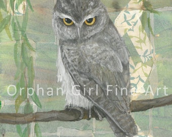 Little Screech Owl Painting, Owl Art Print, Bird Painting, Wildlife Painting, Owl Artwork, Bird Illustration Bird Wall Art Animal Art Print,