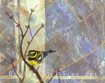 Townsend's Warbler Painting, Warbler Painting, Warbler Art Print, Songbird Painting, Wildlife Painting, Animal Art Print, Bird illustration