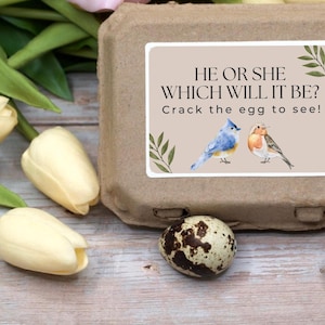 Bulk Gender Reveal - Easter egg Baby Reveal - Gender Reveal Party - Spring Pregnancy - unique egg baby shower - its a boy - its a girl