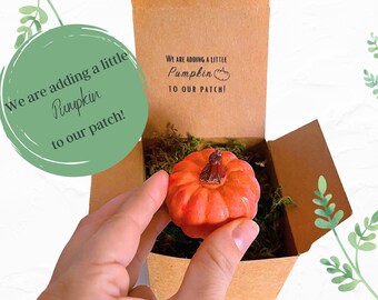 Fall Pregnancy Announcement - Fall Pumpkin Unique Pregnancy Announcement - Grandparent Gift -Husband Gift - Unique Gift