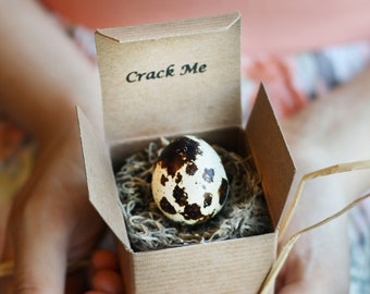 Anniversary Card - Custom Quail Egg Card - Husband Wife Anniversary - Anniversary Gift - First Anniversary Card - Gift