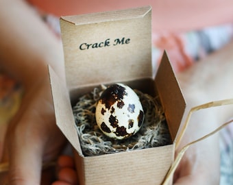 May include: A small, square, light brown cardboard box with the text "Crack Me" printed on the inside of the lid. Inside the box, a speckled brown and white quail egg rests in a bed of dried, fibrous, light-colored nesting material.