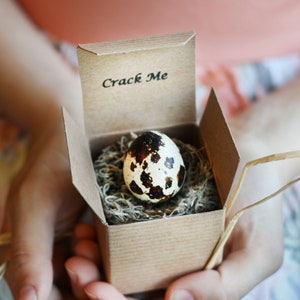 Custom Greeting Card- Quail Egg Card - Holiday Card - Proposal - Valentine&#39;s Day - Invitation - Gift - Crack Me!