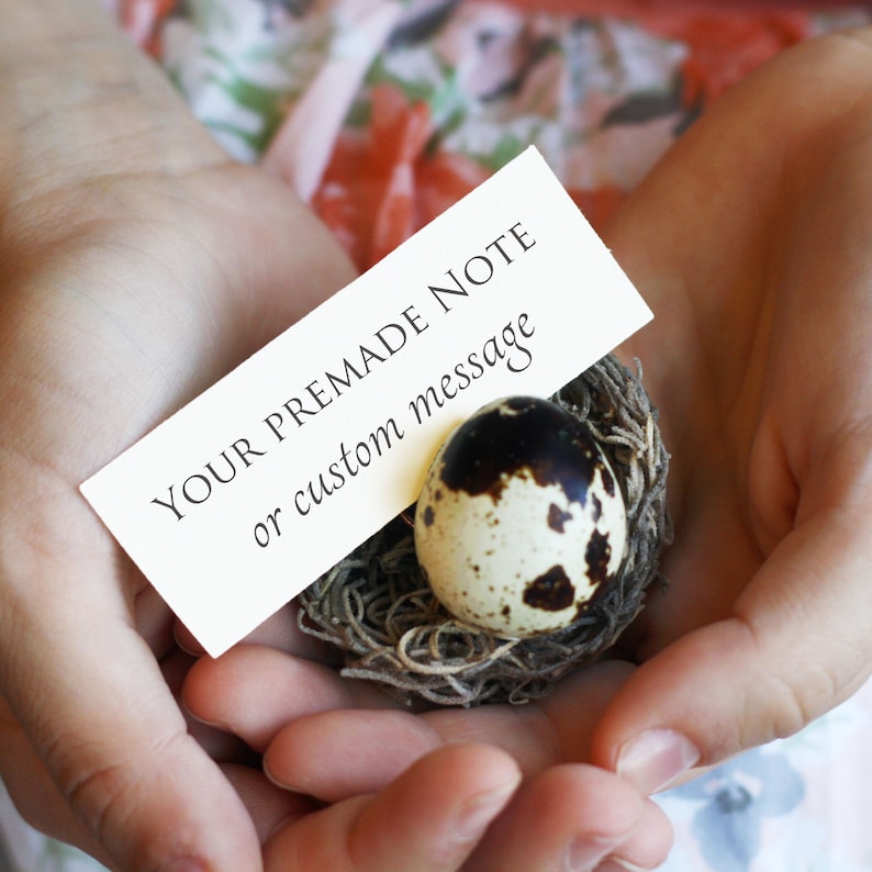 May include: A small bird's nest with a speckled egg and a white card that reads "YOUR PREMADE NOTE or custom message". The nest is held in cupped hands.
