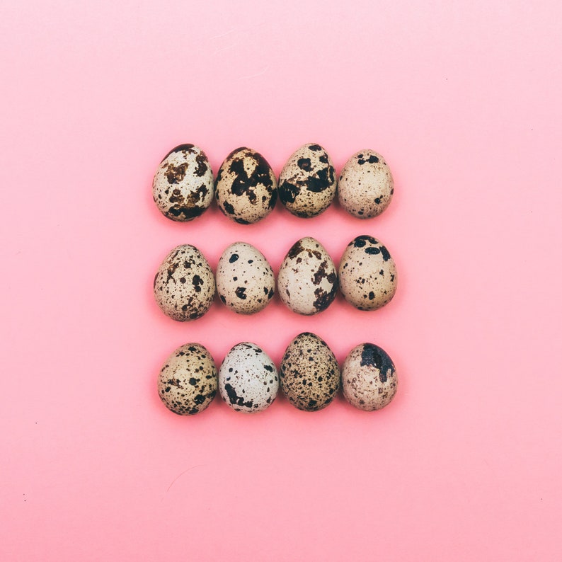 May include: A row of nine speckled quail eggs arranged in three rows on a pink background.