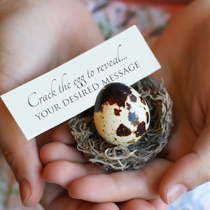 May include: A speckled egg rests in a small nest, held in cupped hands. A white card above the egg reads "Crack the egg to reveal... YOUR DESIRED MESSAGE". The egg has brown spots and is surrounded by a nest made of twigs.