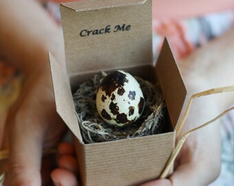 Homecoming proposal- Custom Crack Me Egg-  Unique Homecoming - Boyfriend Homecoming - Girlfriend Homecoming - Homecoming Proposal Ideas