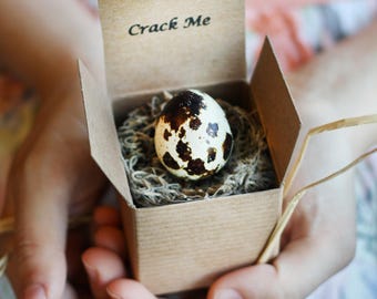 May include: A small brown cardboard box with the words "Crack Me" printed on the top. The box is open and contains a single quail egg nestled in a bed of moss.