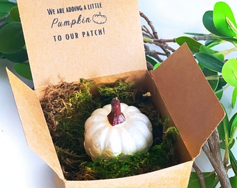 Fall Pregnancy Announcement - Fall Pumpkin Unique Pregnancy Announcement - Grandparent Gift -Husband Gift - Unique Gift