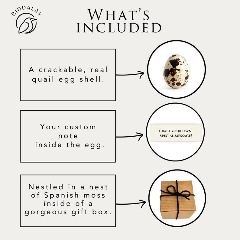 May include: An infographic showing the contents of a gift. It includes a crackable quail egg, a custom note, and a gift box with Spanish moss. The text reads "WHAT'S INCLUDED" and "CRAFT YOUR OWN SPECIAL MESSAGE!"