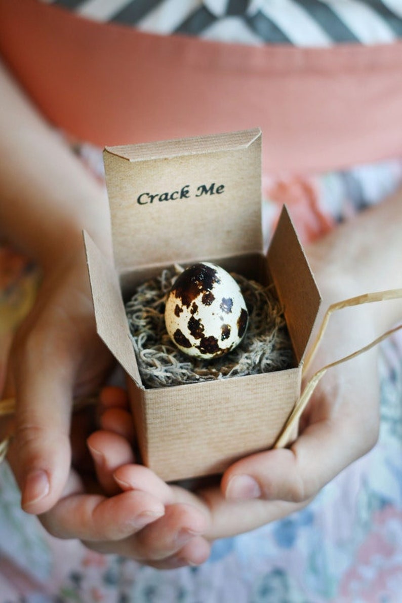 A hand holding a box with a white and brown fake egg in it