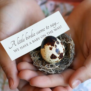 May include: A white card with the text "A little birdie came to say... WE HAVE A BABY ON THE WAY!"  A small brown and white speckled egg is in a nest made of brown twigs.