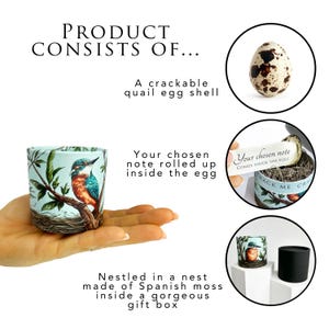 May include: A teal and orange bird-themed gift box with a crackable quail egg shell, a rolled-up note, and Spanish moss. The text reads "PRODUCT CONSISTS OF..." and "Your chosen note comes inside the egg!"
