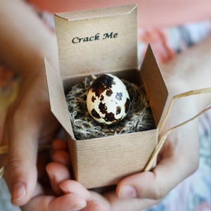 May include: A small, speckled egg rests in a nest of dried moss inside a small, open cardboard box. The box has the words "Crack Me" printed on the inside of the lid. The box is held in open hands.