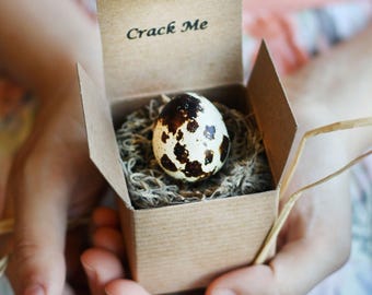 Bridesmaid Proposal - Bridal Party Propose - Maid of Honor Propose - Custom Groomsman proposal - Spring wedding - flower girl proposal