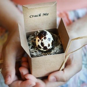 May include: A small, speckled quail egg rests in a nest of dried moss inside a small, open cardboard box. The box is held in someone's hands. The text "Crack Me" is printed on the inside of the box lid.