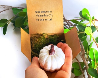 Fall Pregnancy Announcement - Fall Pumpkin Unique Pregnancy Announcement - Grandparent Gift -Husband Gift - Unique Gift