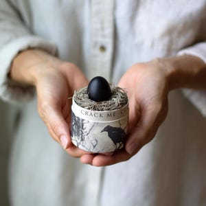 Pu&ograve; includere: Un uovo nero &egrave; appoggiato in un nido di ramoscelli all'interno di un piccolo contenitore cilindrico. Il contenitore &egrave; decorato con un'illustrazione in bianco e nero di un corvo e di una scena di foresta. Il testo "CRACK ME" &egrave; stampato sopra.