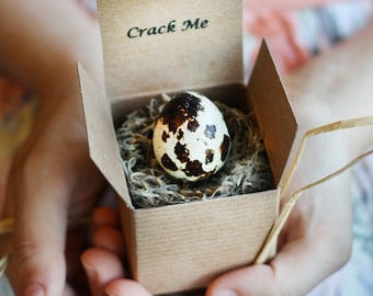 May include: A small brown cardboard box with the words "Crack Me" printed on the top. The box is open and contains a single quail egg with a brown and white speckled shell.