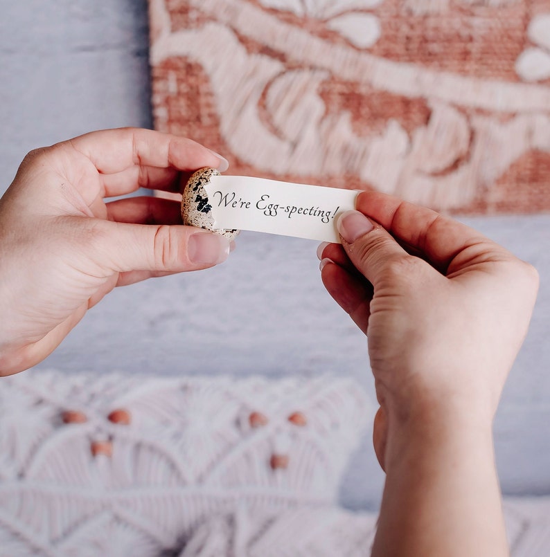 May include: A small, speckled egg with a white paper note inside. The note reads "We're Egg-specting!"