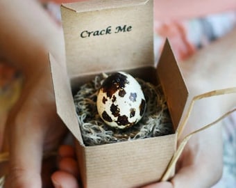 Pregnancy Announcement - Gender Reveal - Baby Announcement - Grandparent announcement - Unique Customizable Announcement- Quail Egg Gift