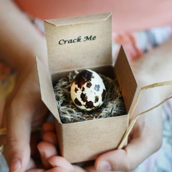 Pregnancy Announcement - Gender Reveal - Baby Announcement - Grandparent announcement - Unique Customizable Announcement- Quail Egg Gift