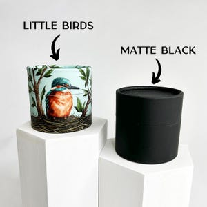 May include: Two round cardboard containers. One container is black and the other has a colorful design of a bird on a blue background. The text "LITTLE BIRDS" is above the container with the bird design. The text "MATTE BLACK" is above the black container.