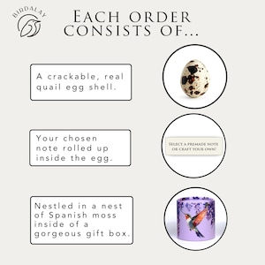 K&ouml;nnte beinhalten: Werbebild von Birdalay, das den Inhalt jeder Bestellung zeigt. Es enth&auml;lt ein Wachtelei, eine Notiz und eine Geschenkbox mit einem Kolibri-Design. Der Text lautet: "Jede Bestellung besteht aus..."
