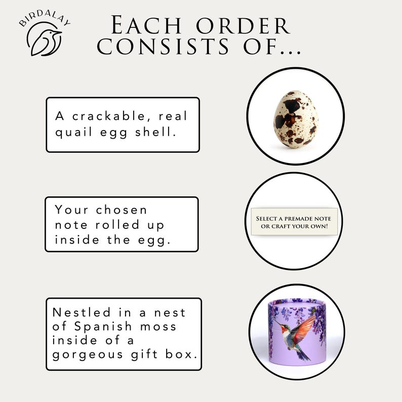 K&ouml;nnte beinhalten: Werbebild von Birdalay, das den Inhalt jeder Bestellung zeigt. Es enth&auml;lt ein Wachtelei, eine Notiz und eine Geschenkbox mit einem Kolibri-Design. Der Text lautet: "Jede Bestellung besteht aus..."