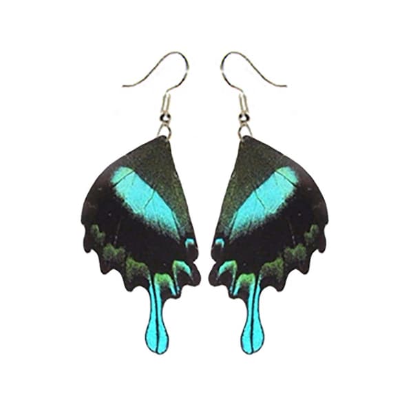 Papilio blumei hindwing blue black earrings