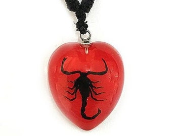 Scorpion heart shaped necklace, red black