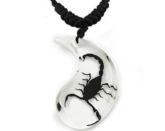 May include: A black scorpion encased in clear resin, shaped like a crescent moon, hangs from a black cord necklace.
