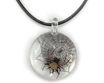 Orb weaver kite spider on preserved spider web necklace