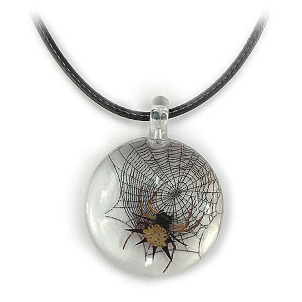 Orb weaver kite spider on preserved spider web necklace