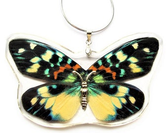 Erasmia pulchera blue green yellow day flying moth wing necklace