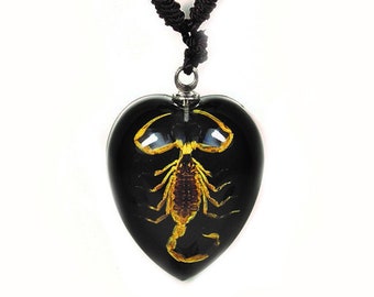 Mens Scorpion Necklace Inscribed with You Dont Really Wanna Mess with Me in 24k Gold onto a Black Onyx Pendant NanoStyle Jewelry 20 Chain Mens Scorpion Necklace Inscribed with You Dont Really Wanna Mess with Me in 24k Gold onto a Black Onyx Pendant NanoStyle Jewelry 20 Chain