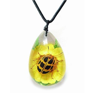 May include: A black cord necklace with a teardrop-shaped pendant. The pendant is filled with clear resin and contains a preserved yellow flower with a black and yellow beetle inside.