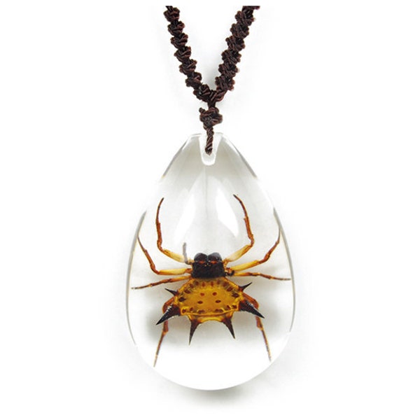 REAL orb weaver kite spider necklace adjustable chain to fit any person any age