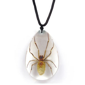REAL brown recluse spider necklace adjustable chain to fit any person any age