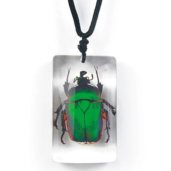 REAL green scarab beetle necklace adjustable chain to fit any person any age