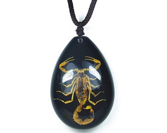 May include: A black teardrop-shaped pendant necklace with a preserved scorpion inside. The scorpion is yellow and has a black background.