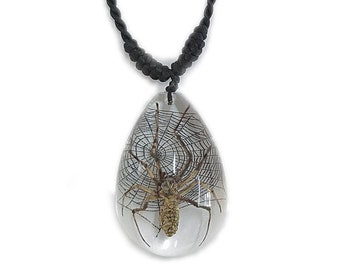 REAL orb weaver teardrop spider on real preserved spider web necklace adjustable chain to fit any person any age